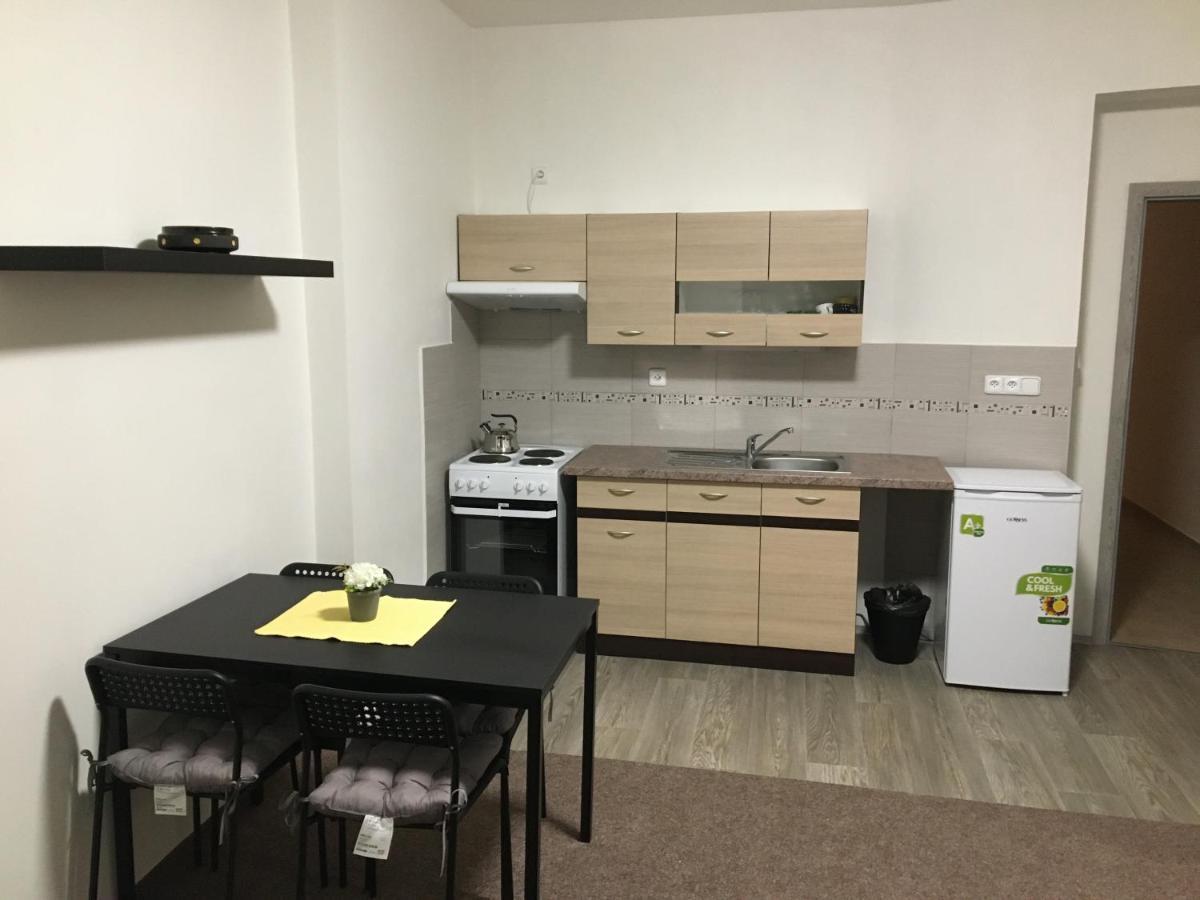 Apartmany U Muzea Decin Buitenkant foto