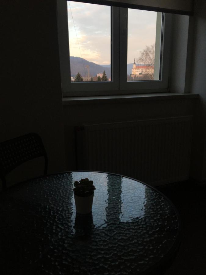 Apartmany U Muzea Decin Buitenkant foto