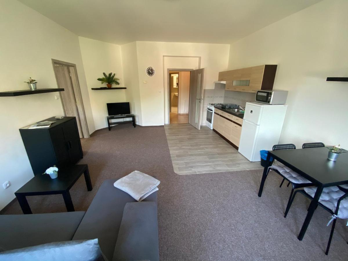 Apartmany U Muzea Decin Buitenkant foto