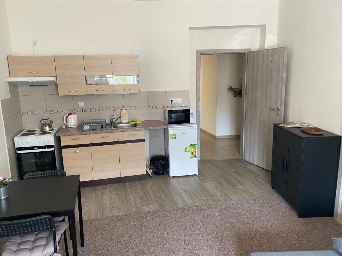 Apartmany U Muzea Decin Buitenkant foto